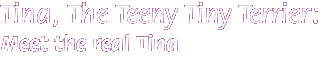 Meet The Real Tina